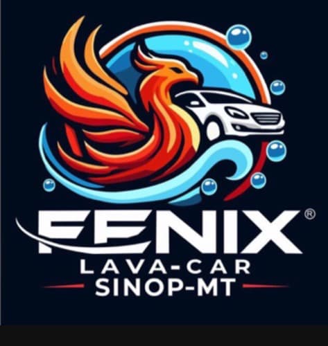 Logo de Fenix lavacar